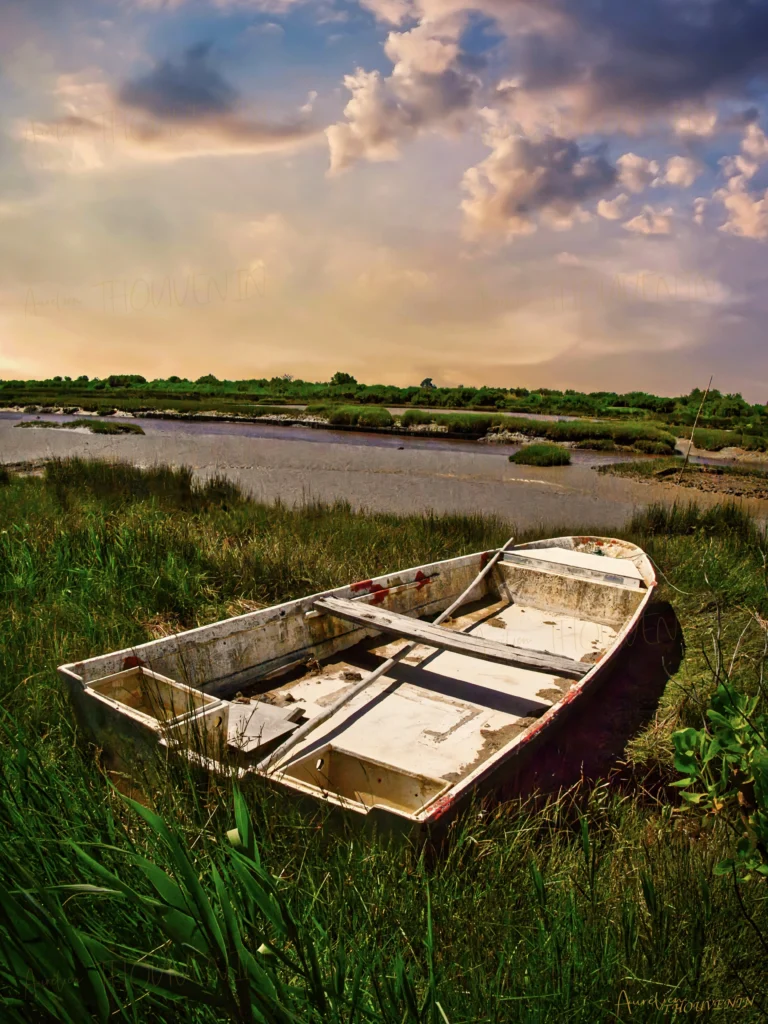 bateau dans herbes