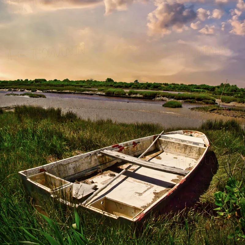 bateau dans herbes