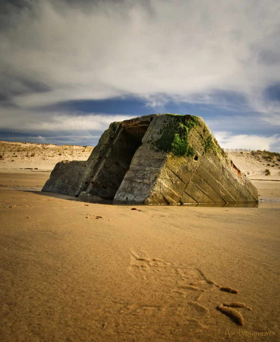 - Bunker ensablé - NOUVEAUTÉ